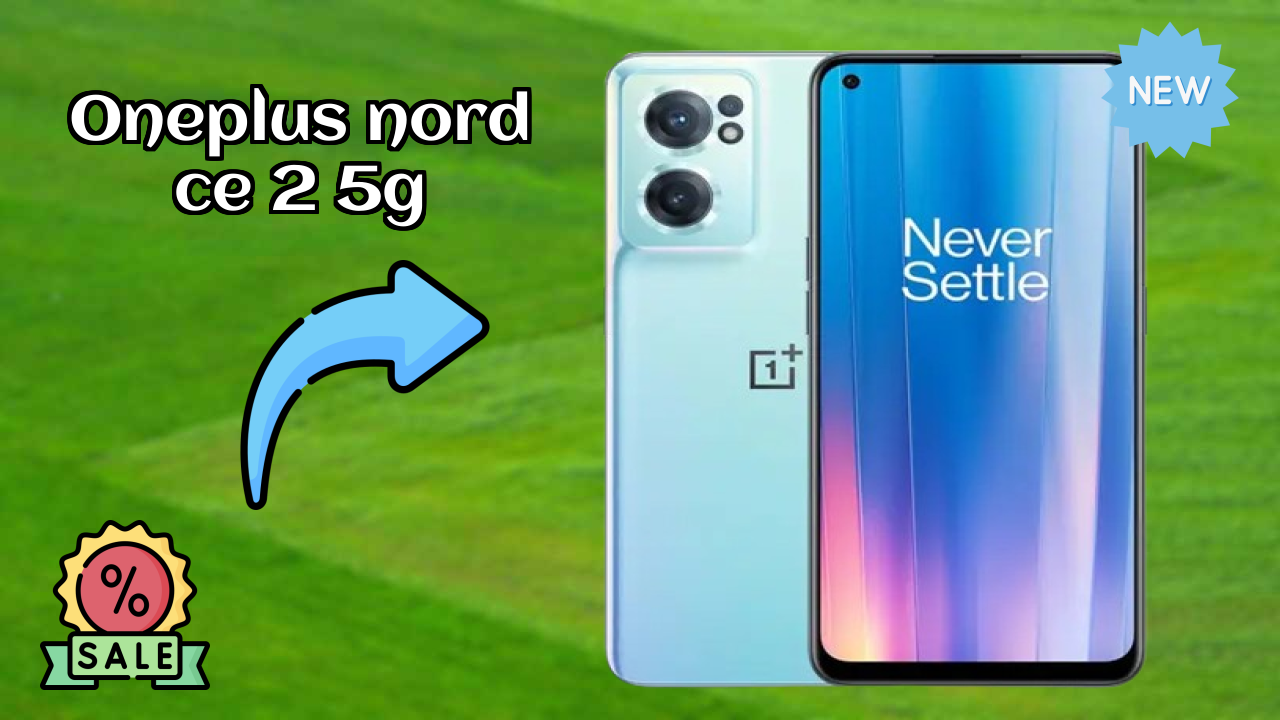 OnePlus Nord CE 2 5G Camera Quality: 64 MP + 8 MP + 2 MP Rear Camera Photo Review