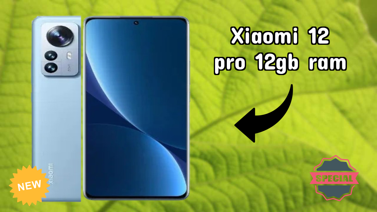 Xiaomi 12 Pro 12GB RAM Camera Review: 50 MP + 50 MP + 50 MP Rear Camera Low Light